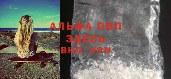 индика Балабаново
