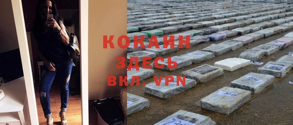 индика Балабаново