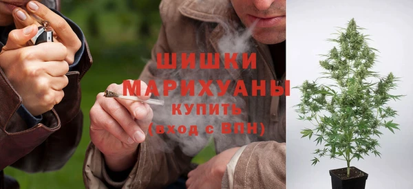 индика Балабаново