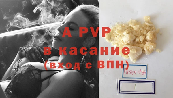 индика Балабаново